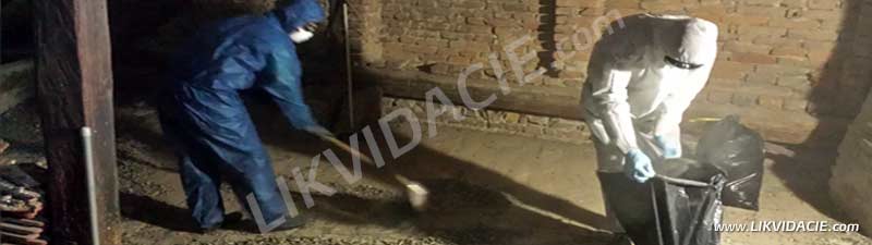 Prebiehajúce vypratanie povaly, vyčistenie podláh od trusu a zamorenia od holubov. Bratislava - Staré mesto