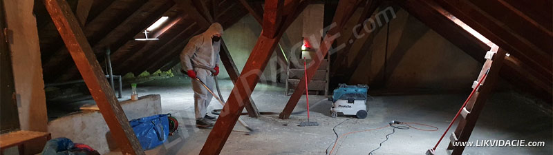 Záverečné dočisťovanie povaly zamorenej od holubieho trusu a uhynutého vtáctva. Bratislava - Staré mesto